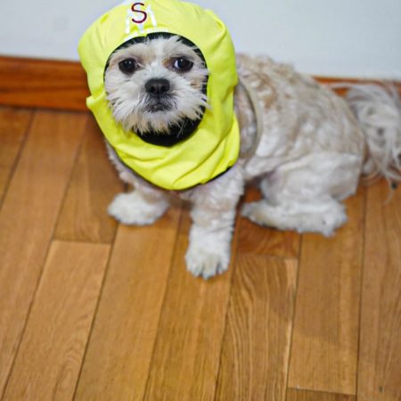 F77CE876-D187-45E6-99C3-6C58B3FA824E-min